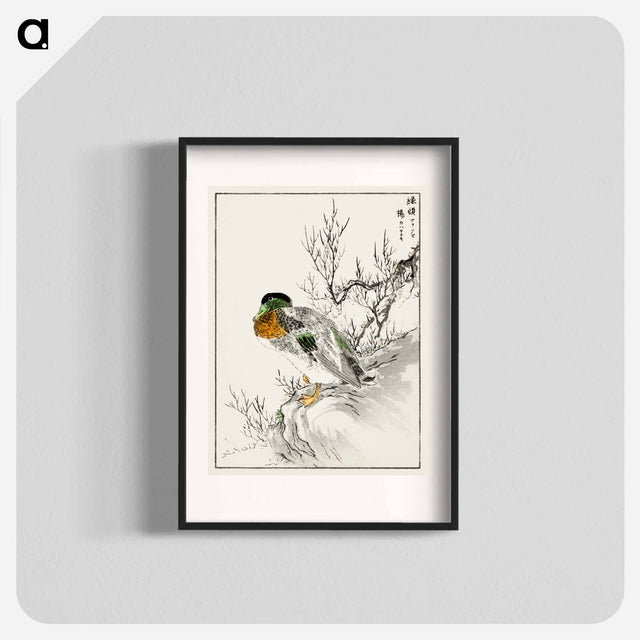 アートポスター-Mallard and Willow
 - 鳥類図鑑 Poster.