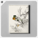アートパネル-Mallard and Willow
 - 鳥類図鑑 Canvas.