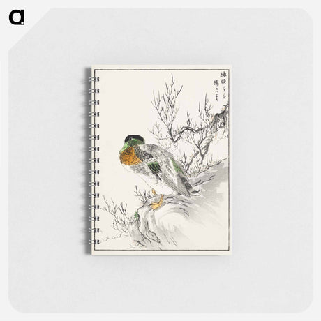 アートメモ帳-Mallard and Willow
 - 鳥類図鑑 Memo.