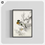 1-86_Pictorial-Monograph-of-Birds_blk-crop