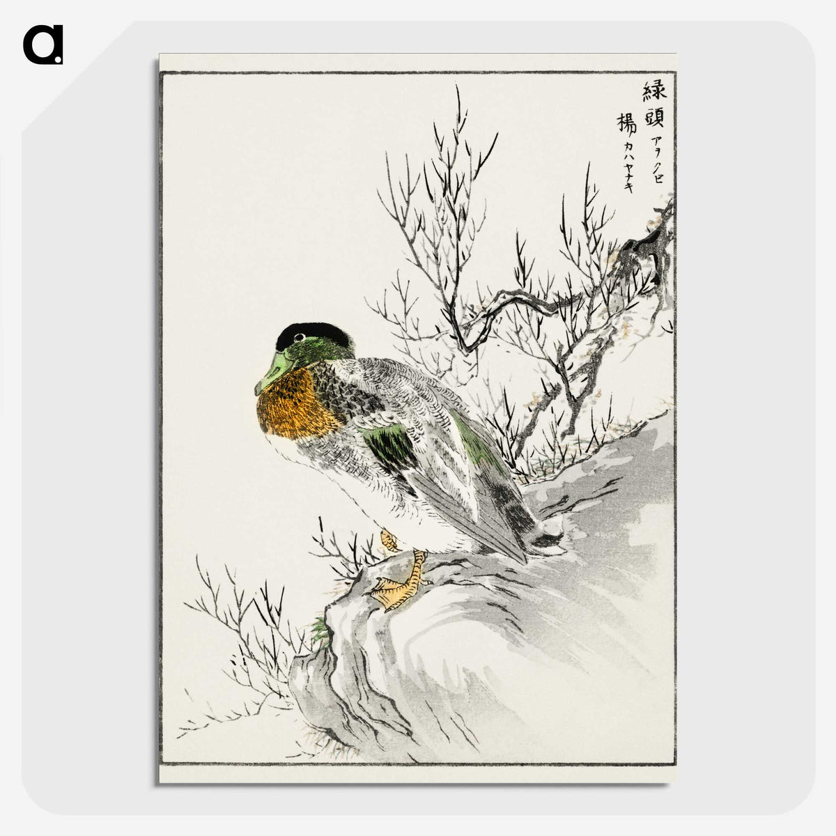 1-86_Pictorial-Monograph-of-Birds_picture-crop