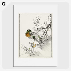 1-86_Pictorial-Monograph-of-Birds_picture