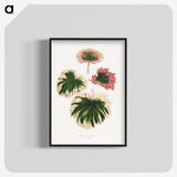 1-86_Plants-with-Colored-Foliage_blk-crop