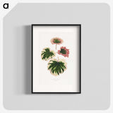 1-86_Plants-with-Colored-Foliage_blk