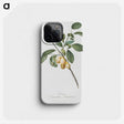 1-86_Pomona-Italiana_phone