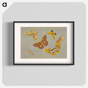 アートポスター-Chō senshu (A Thousand Kinds of Butterflies), Volume 1
 - セントルイス美術館 Poster.