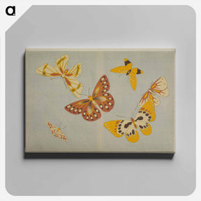 アートパネル-Chō senshu (A Thousand Kinds of Butterflies), Volume 1
 - セントルイス美術館 Canvas.