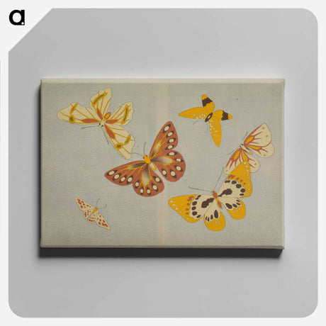 アートパネル-Chō senshu (A Thousand Kinds of Butterflies), Volume 1
 - セントルイス美術館 Canvas.