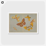 1-86_Saint-Louis-Art-Museum_hagaki