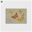アートポストカード-Chō senshu (A Thousand Kinds of Butterflies), Volume 1
 - セントルイス美術館 Postcard.