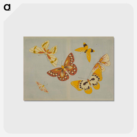 アートポストカード-Chō senshu (A Thousand Kinds of Butterflies), Volume 1
 - セントルイス美術館 Postcard.