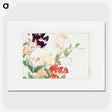 1-86_Seiyo-Soka-Zufu_picture