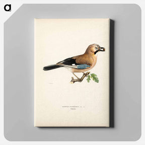 アートパネル-Eurasian Jay
 - スヴェンスカ フォグラル Canvas.