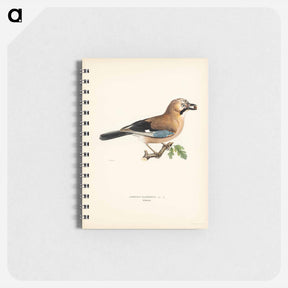 アートメモ帳-Eurasian Jay
 - スヴェンスカ フォグラル Memo.