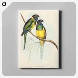 アートパネル-Bauer's Parrakeet
 - オーストラリアの鳥 Canvas.