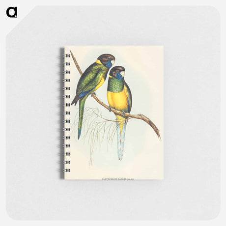 アートメモ帳-Bauer's Parrakeet
 - オーストラリアの鳥 Memo.