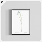 1-86_The-Lilies_blk-crop