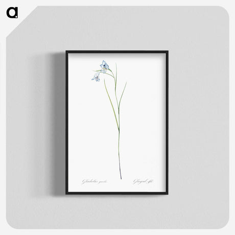 1-86_The-Lilies_blk-crop