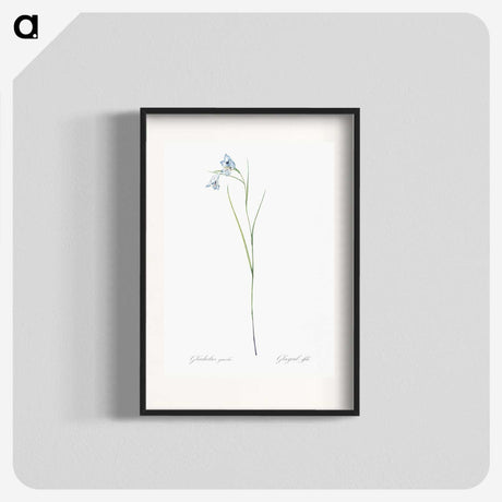 1-86_The-Lilies_blk