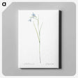1-86_The-Lilies_canvas