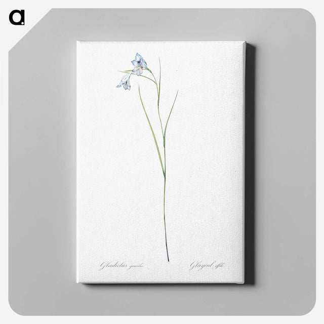 1-86_The-Lilies_canvas