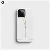1-86_The-Lilies_phone