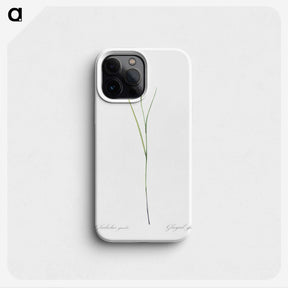 1-86_The-Lilies_phone