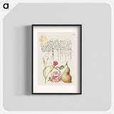 アートポスター-Carnation, Martagon Lily, and Pear from Mira Calligraphiae Monumenta
 - 書道のお手本 Poster.