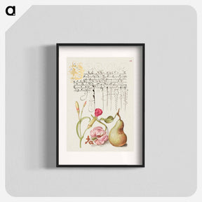 アートポスター-Carnation, Martagon Lily, and Pear from Mira Calligraphiae Monumenta
 - 書道のお手本 Poster.