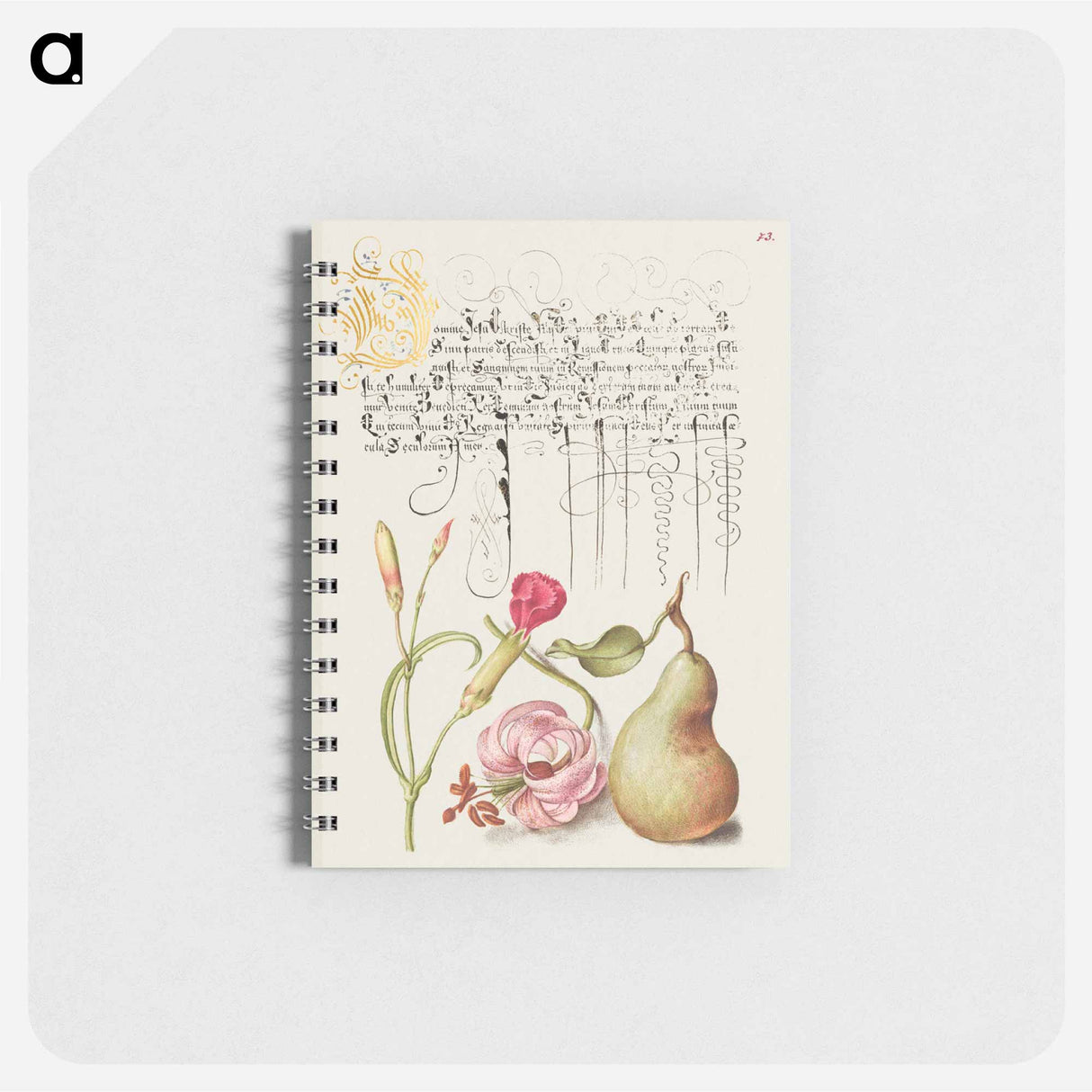アートメモ帳-Carnation, Martagon Lily, and Pear from Mira Calligraphiae Monumenta
 - 書道のお手本 Memo.