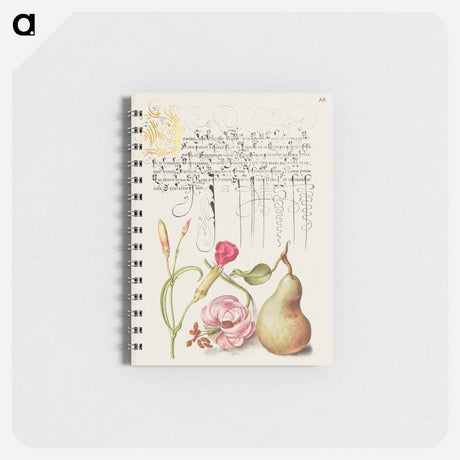 アートメモ帳-Carnation, Martagon Lily, and Pear from Mira Calligraphiae Monumenta
 - 書道のお手本 Memo.