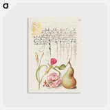 アートポストカード-Carnation, Martagon Lily, and Pear from Mira Calligraphiae Monumenta
 - 書道のお手本 Postcard.