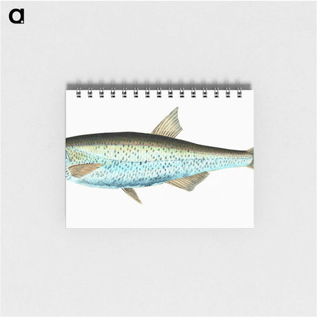1-86_The-Natural-History-of-British-Fishes_memo