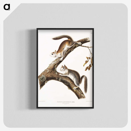 1-86_The-Viviparous-Quadrupeds_blk-crop