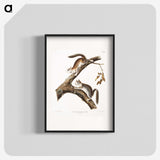 1-86_The-Viviparous-Quadrupeds_blk