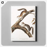 1-86_The-Viviparous-Quadrupeds_canvas