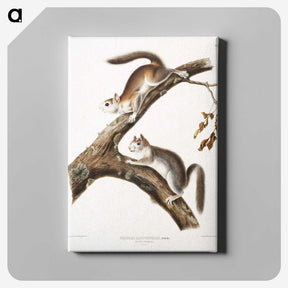 1-86_The-Viviparous-Quadrupeds_canvas