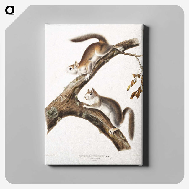 1-86_The-Viviparous-Quadrupeds_canvas