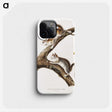 1-86_The-Viviparous-Quadrupeds_phone