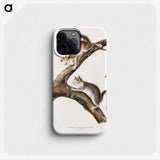 1-86_The-Viviparous-Quadrupeds_phone