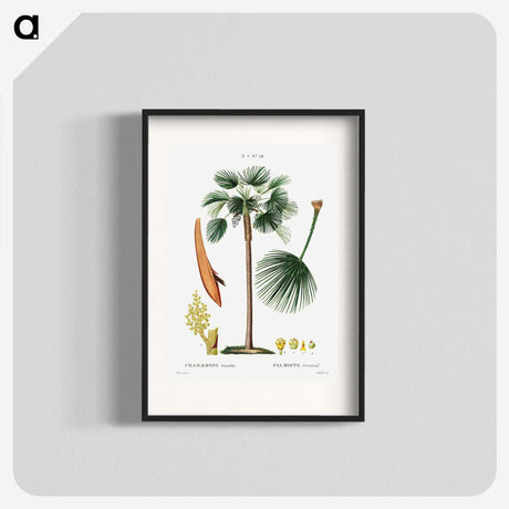 1-86_Treatise-on-Trees-and-Shrubs_blk