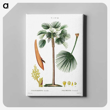 1-86_Treatise-on-Trees-and-Shrubs_canvas
