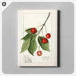 1-86_USDA-Watercolor-Fruit-Painting-Collection_canvas