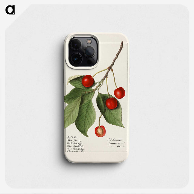 1-86_USDA-Watercolor-Fruit-Painting-Collection_phone