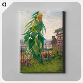 アートパネル-Allotment with Sunflower - フィンセント ファン ゴッホ Canvas.