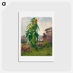 アートポストカード-Allotment with Sunflower - フィンセント ファン ゴッホ Postcard.