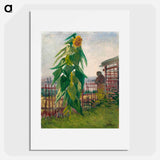 Allotment with Sunflower - Vincent van Gogh Poster.