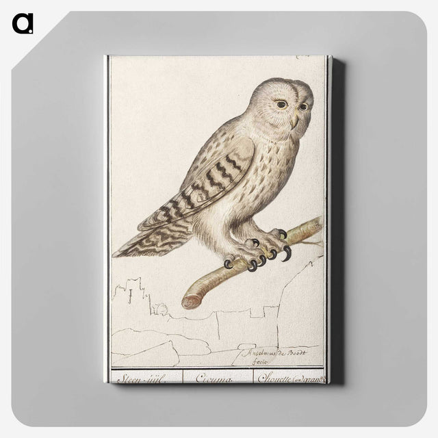 1-87_Anselmus-Boetius-de-Boodt_canvas
