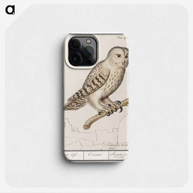 1-87_Anselmus-Boetius-de-Boodt_phone