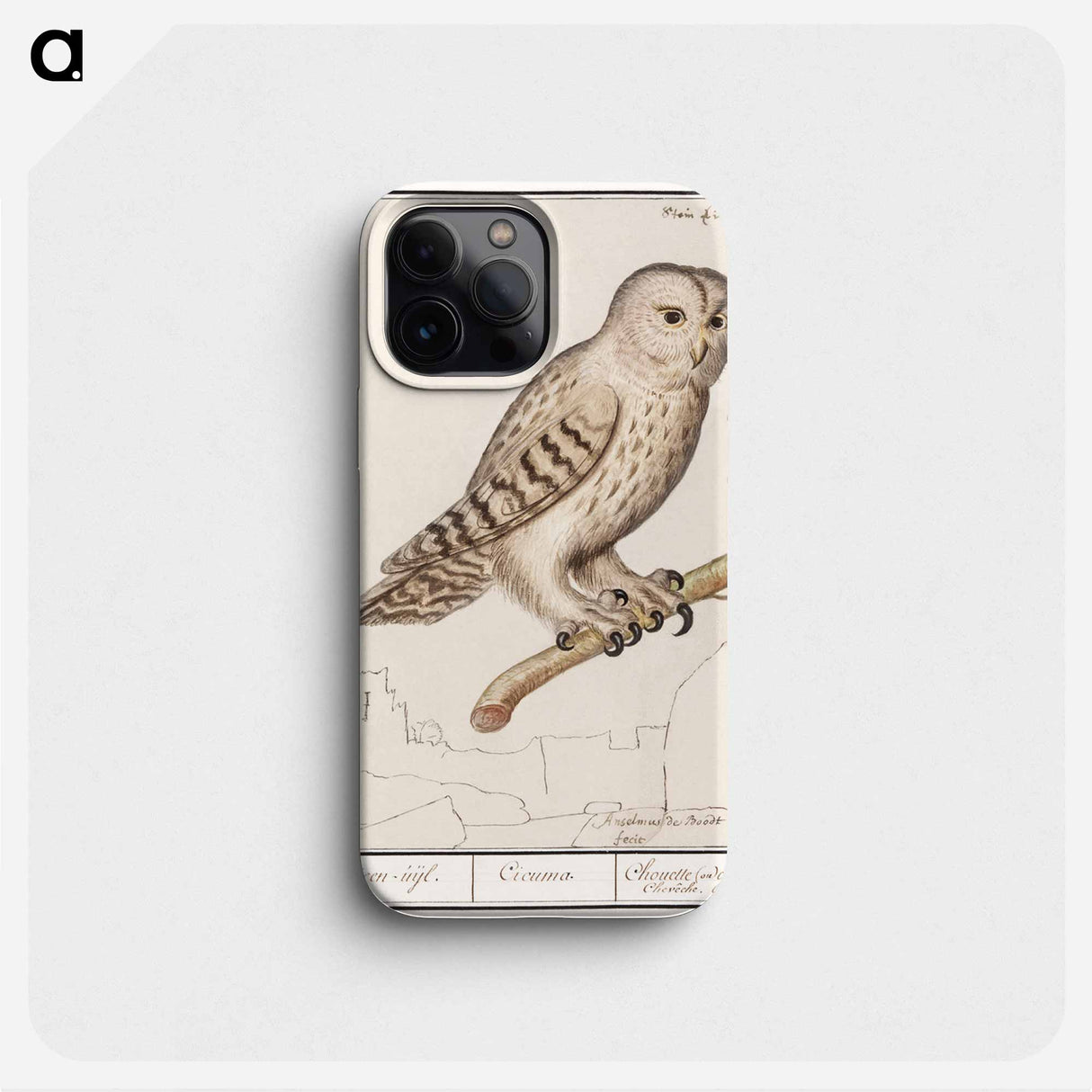 Tawny owl - アンセルムス ボエティウス デ ブート Phone Case.